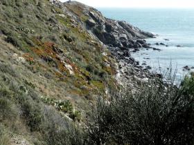 photo coins arrondis